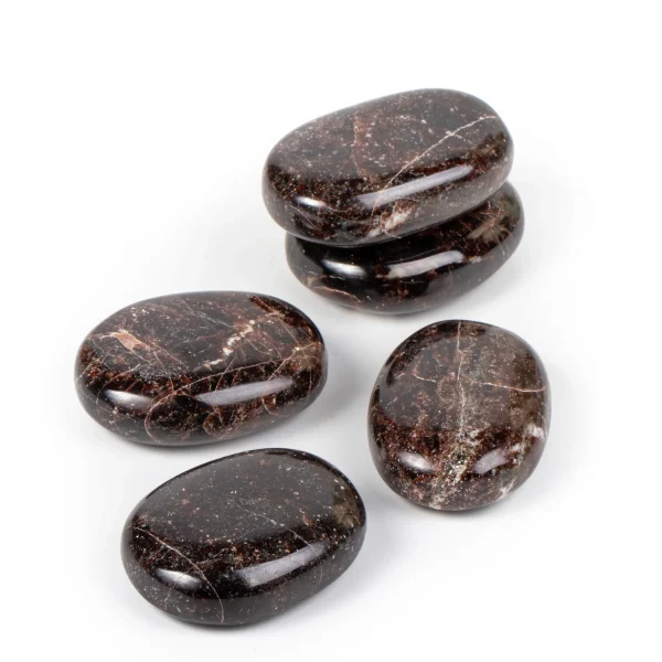 Garnet Palm