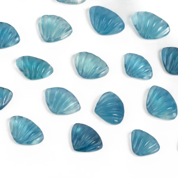 Aquamarine Sea Shells