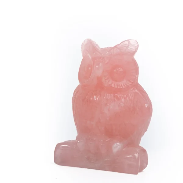 Owl Carvings