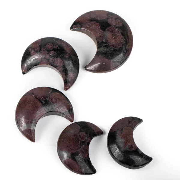 Arfvedsonite with Garnet Moon