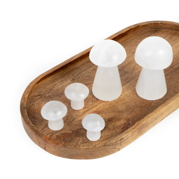 Selenite Toadstool